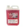 sani clean 5 l