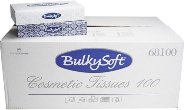 bulkysoft facial tissue classic pure cell wit 68100 2lgs 21x21cm doos 40x100 st